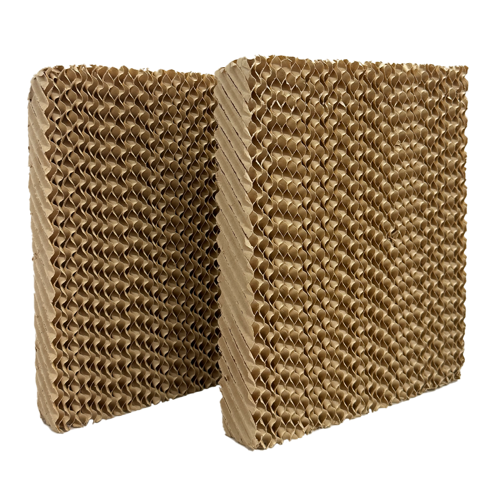 EHAC18DH2WH Replacement Honeycomb Filters (2 Filters - Up and Down)