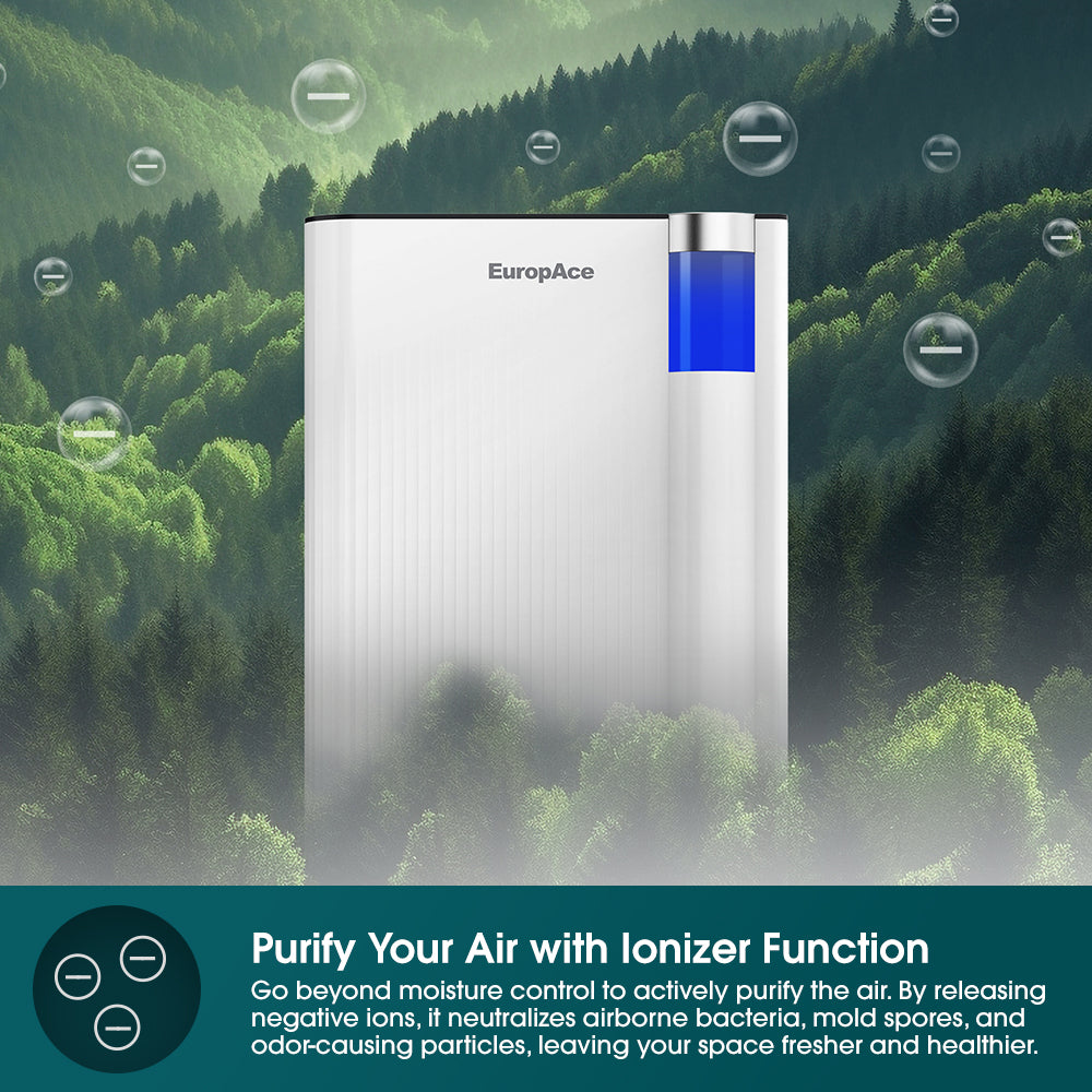 12L IonDry DC Dehumidifier + Laundry Dryer + Ioniser (3-in-1)